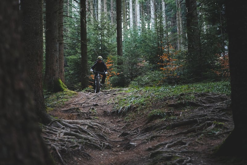 Cycling Paths
